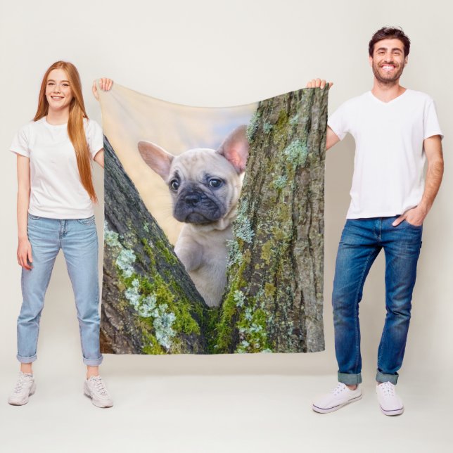 Manta Polar Bulldog francés lindo posando en una bifurcación (In situ)