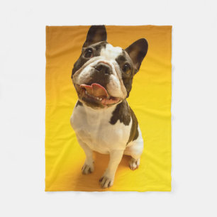 Manta Polar Bulldog francés que mira para arriba
