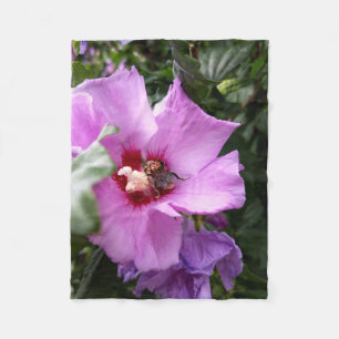 Manta Polar Bumblebee en la flor de Hibiscus