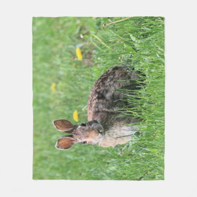 Manta Polar Bunny (Anverso)