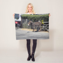 Burro por la puerta