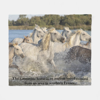 Manta Polar Caballo Camargue Antigua Raza De Francia Ecuestre