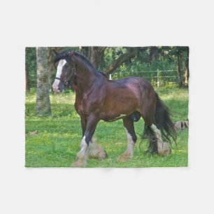 Manta Polar Caballo Clydesdale