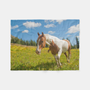 Manta Polar Caballo curioso en un prado alpino en verano