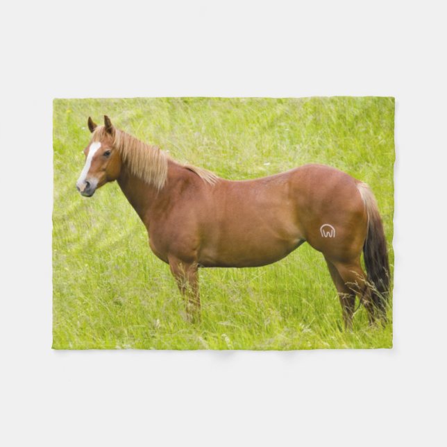 Manta Polar Caballo en Campo de Primavera (Frente (Horizontal))