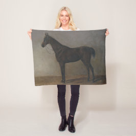 Manta Polar Caballo Gelding Bay (por Albrecht Adam)