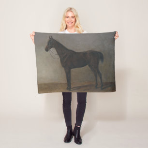 Manta Polar Caballo Gelding Bay (por Albrecht Adam)