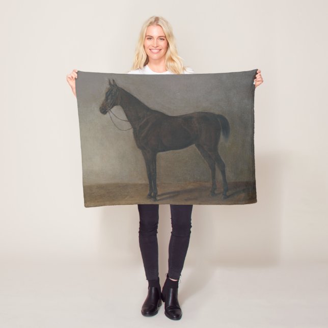 Manta Polar Caballo Gelding Bay (por Albrecht Adam) (In situ)