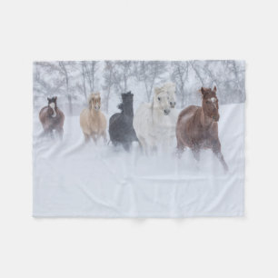 Manta Polar Caballos corriendo a través de la nieve