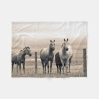 Caballos Cuarto de Milla en la Pradera Canadiense