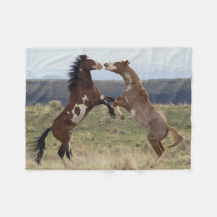 Manta Polar Caballos de pelea, Montañas Steens, Oregon