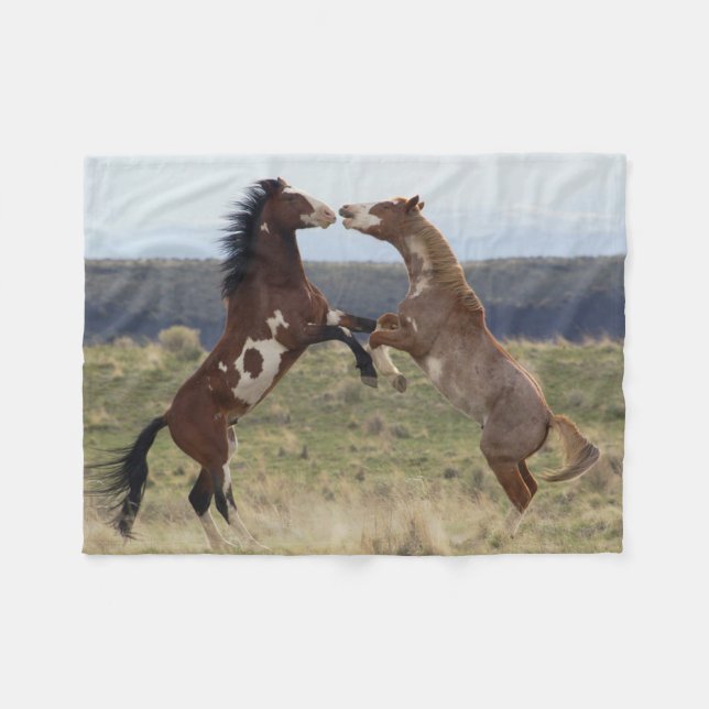 Manta Polar Caballos de pelea, Montañas Steens, Oregon (Frente (Horizontal))