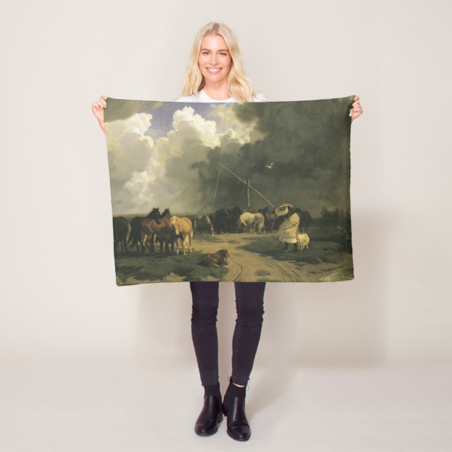 Manta Polar Caballos en una tormenta de lluvia (equino) (In situ)