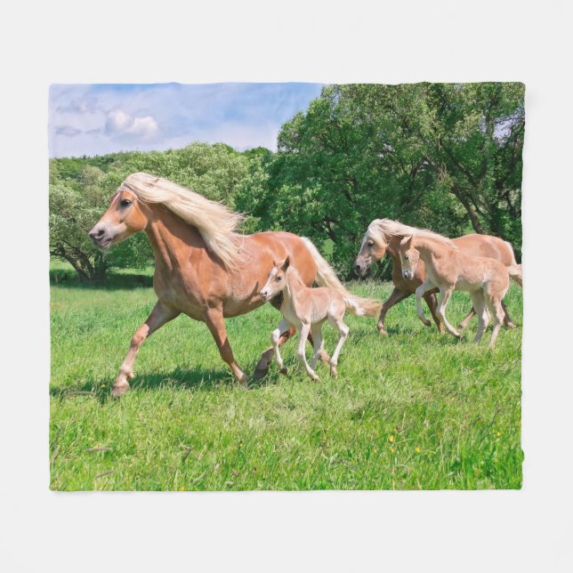 Manta Polar Caballos Haflinger con comida ligera y divertida f (Frente (Horizontal))