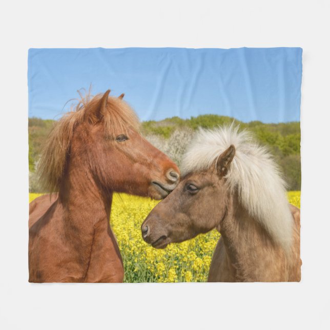 Manta Polar Caballos islandeses cortados en un prado de primav (Frente (Horizontal))