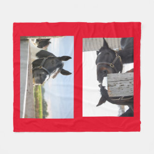 Manta Polar Caballos masticando en una valla