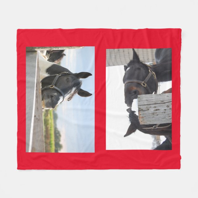 Manta Polar Caballos masticando en una valla (Frente (Horizontal))