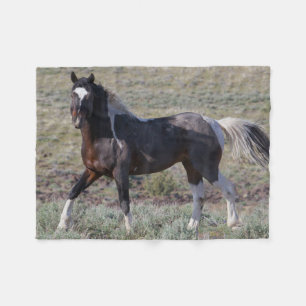 Manta Polar Caballos salvajes después de un baño de polvo