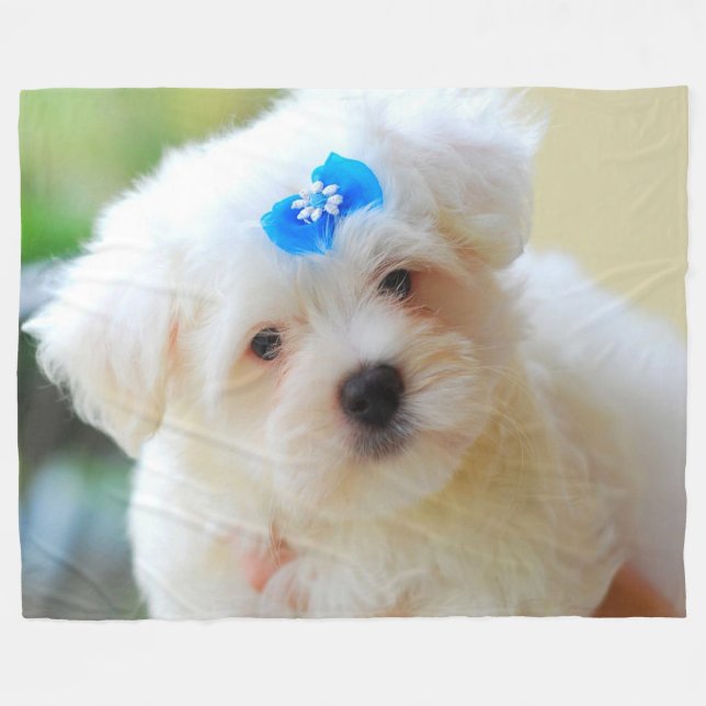Manta Polar Cachorro (Frente (Horizontal))