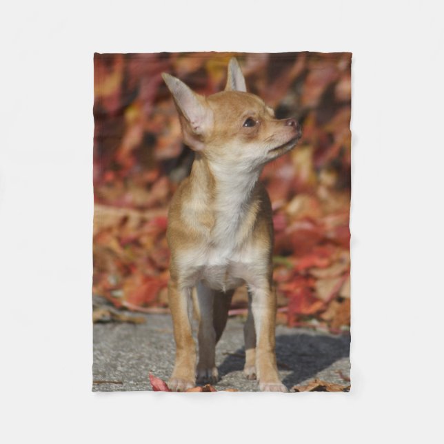 Manta Polar Cachorro chihuahua marrón (Anverso)