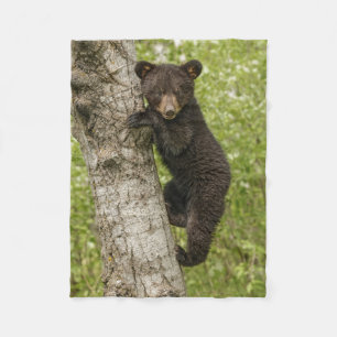 Manta Polar Cachorro de oso negro en árbol