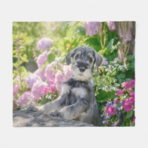 Manta Polar Cachorro Schnauzer estándar en un jardín floreci