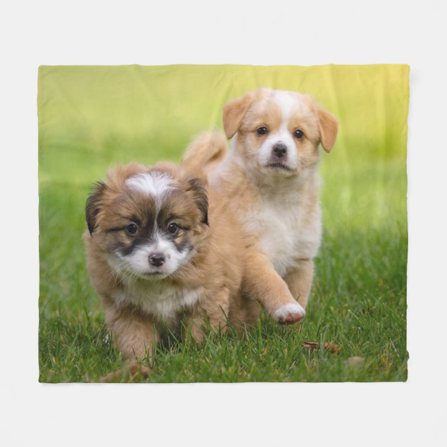 Manta Polar Cachorros (Frente (Horizontal))