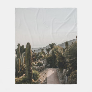 MANTA POLAR CACTI HILL