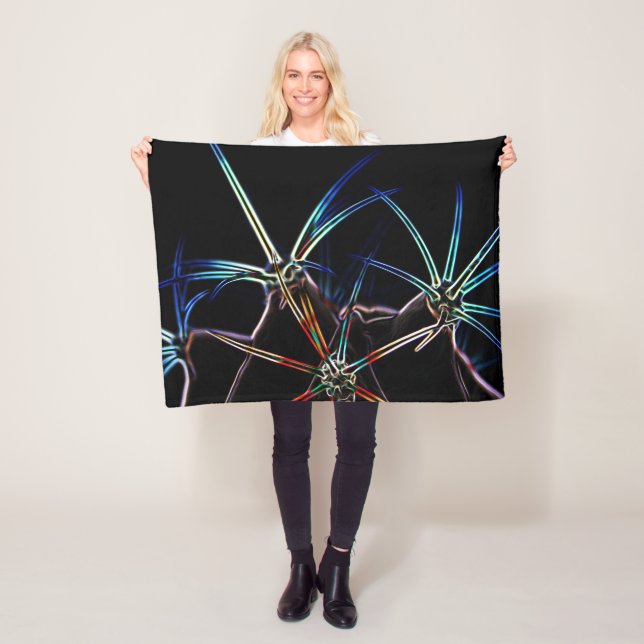 Manta Polar Cactus 1 fbcna (In situ)