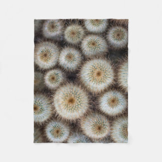 Manta Polar Cactus Prraps