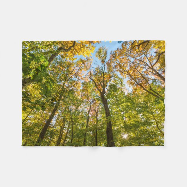 Manta Polar Caída en un bosque en Amesbury, Massachusetts (Frente (Horizontal))