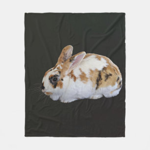Manta Polar Calico Rabbit