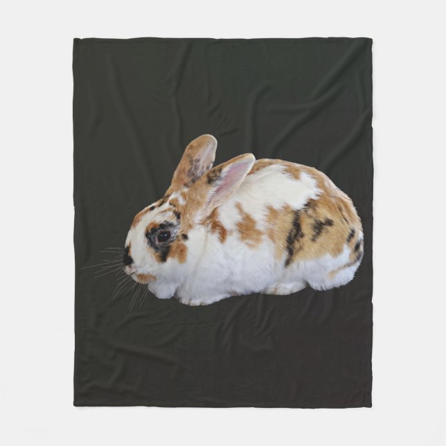 Manta Polar Calico Rabbit (Anverso)