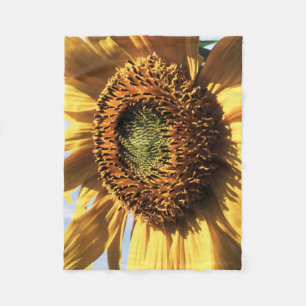 Manta Polar California, Un Girasol Gigante (Helianthus) 1