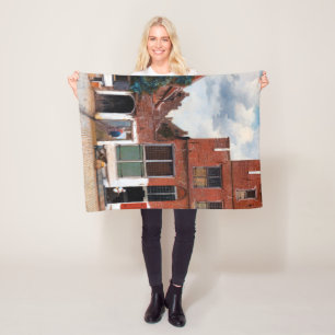 Manta Polar Callejuela holandesa, Johannes Vermeer