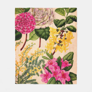 Manta Polar camellia, forsythia, rododendros y acacia
