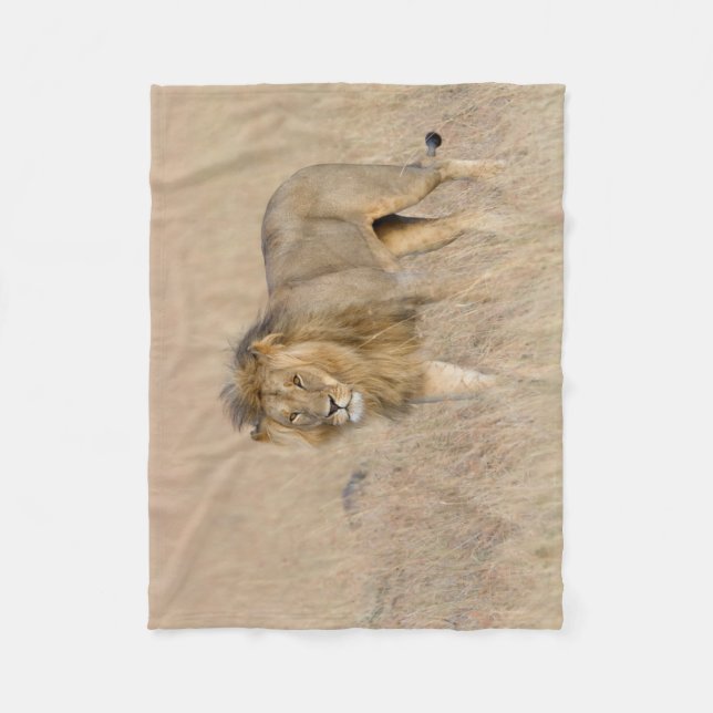 Manta Polar Caminata de leones (Anverso)