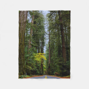 Manta Polar Camino recto por el bosque Redwood-S