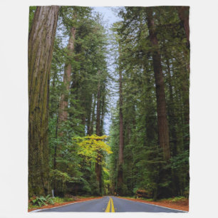 Manta Polar Camino recto por el bosque Redwood-S