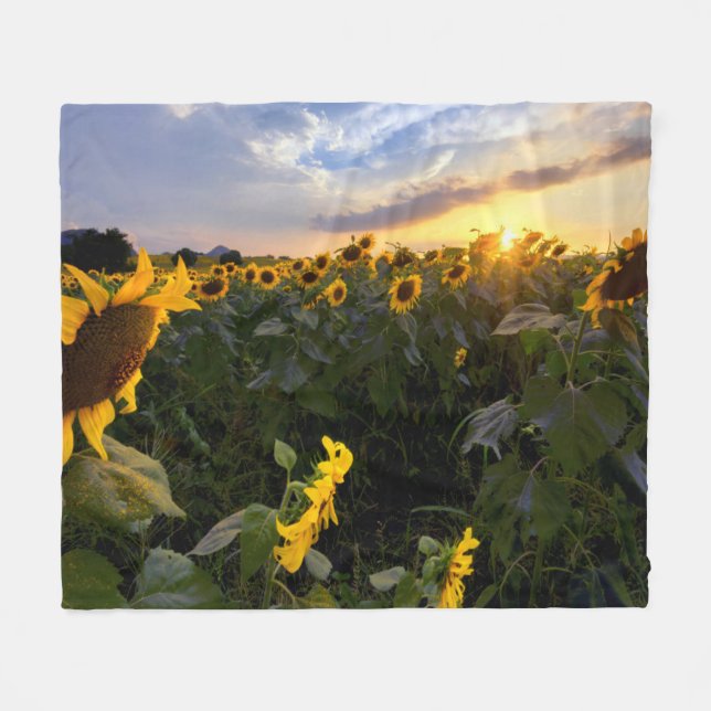 Manta Polar Campo de girasoles florecientes (Frente (Horizontal))
