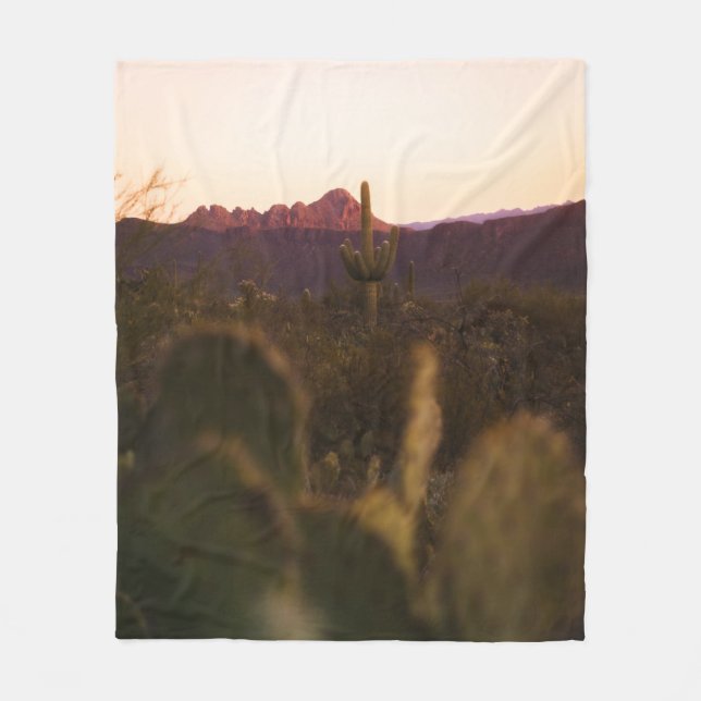 MANTA POLAR CAMPO GRIS VERDE (Anverso)