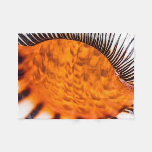 Manta Polar Capa de agua de mar (Frente (Horizontal))