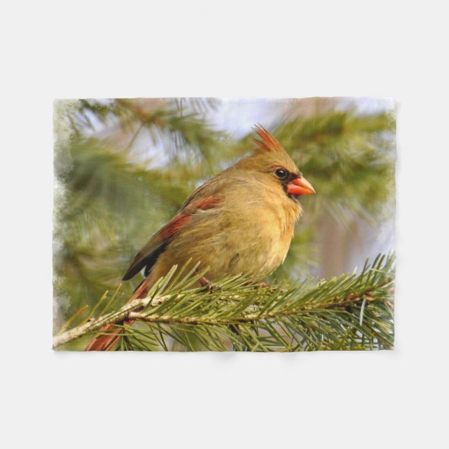 Manta Polar Cardenal femenino 1A (Frente (Horizontal))