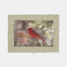 Cardenal septentrional