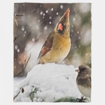 Cardenal Y Espadín En La Nieve