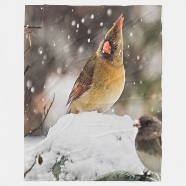 Manta Polar Cardenal Y Espadín En La Nieve (Anverso)