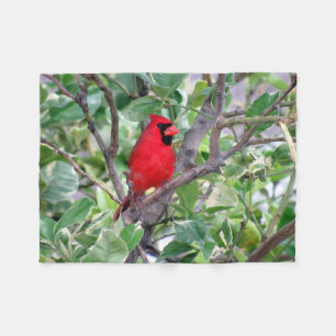 Manta Polar Cardinal Fleece Blanet