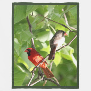 Manta Polar Cardinal Mates