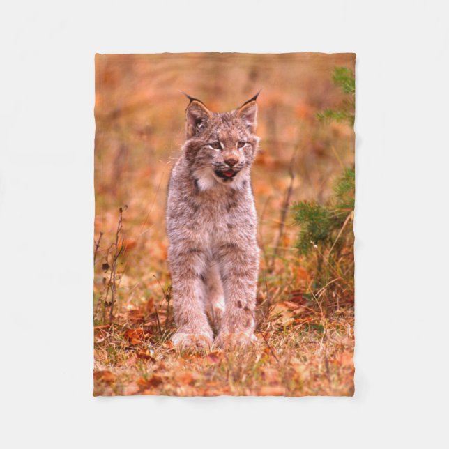 Manta Polar Caza Bobcat | Bosque otoñal (Anverso)