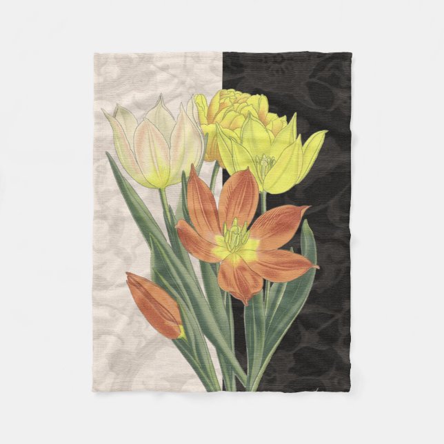 Manta Polar Centro II (Anverso)